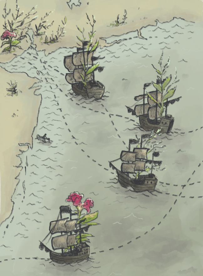 Ballast flora — Ernest journal