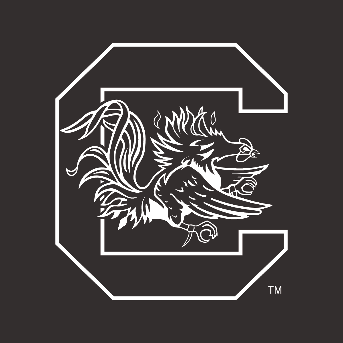 THE UNIVERSITY OF SOUTH CAROLINA