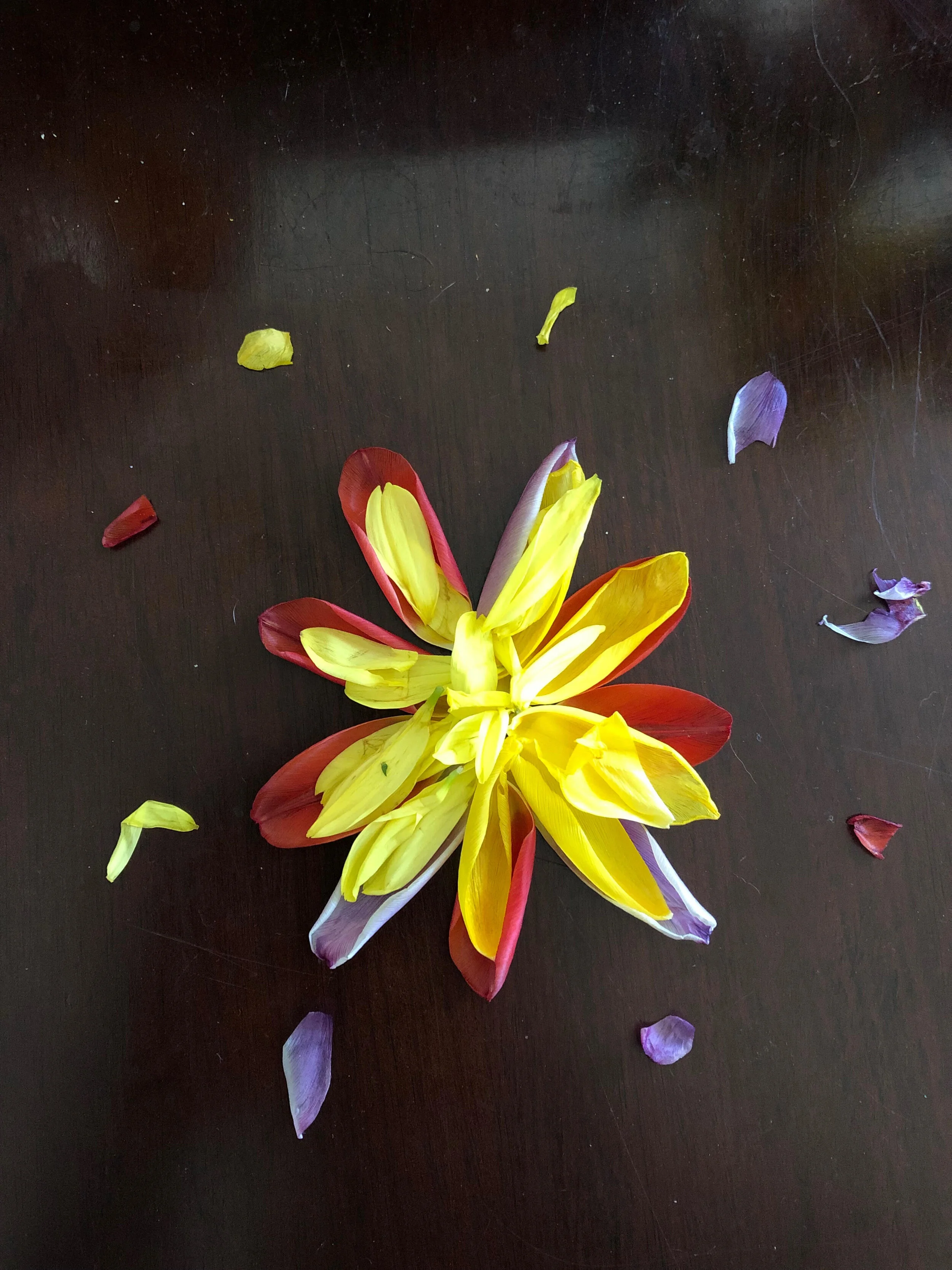 THE HERO'S JOURNEY:  A COMPREHENSIVE INNER QUEST 2/22/2020