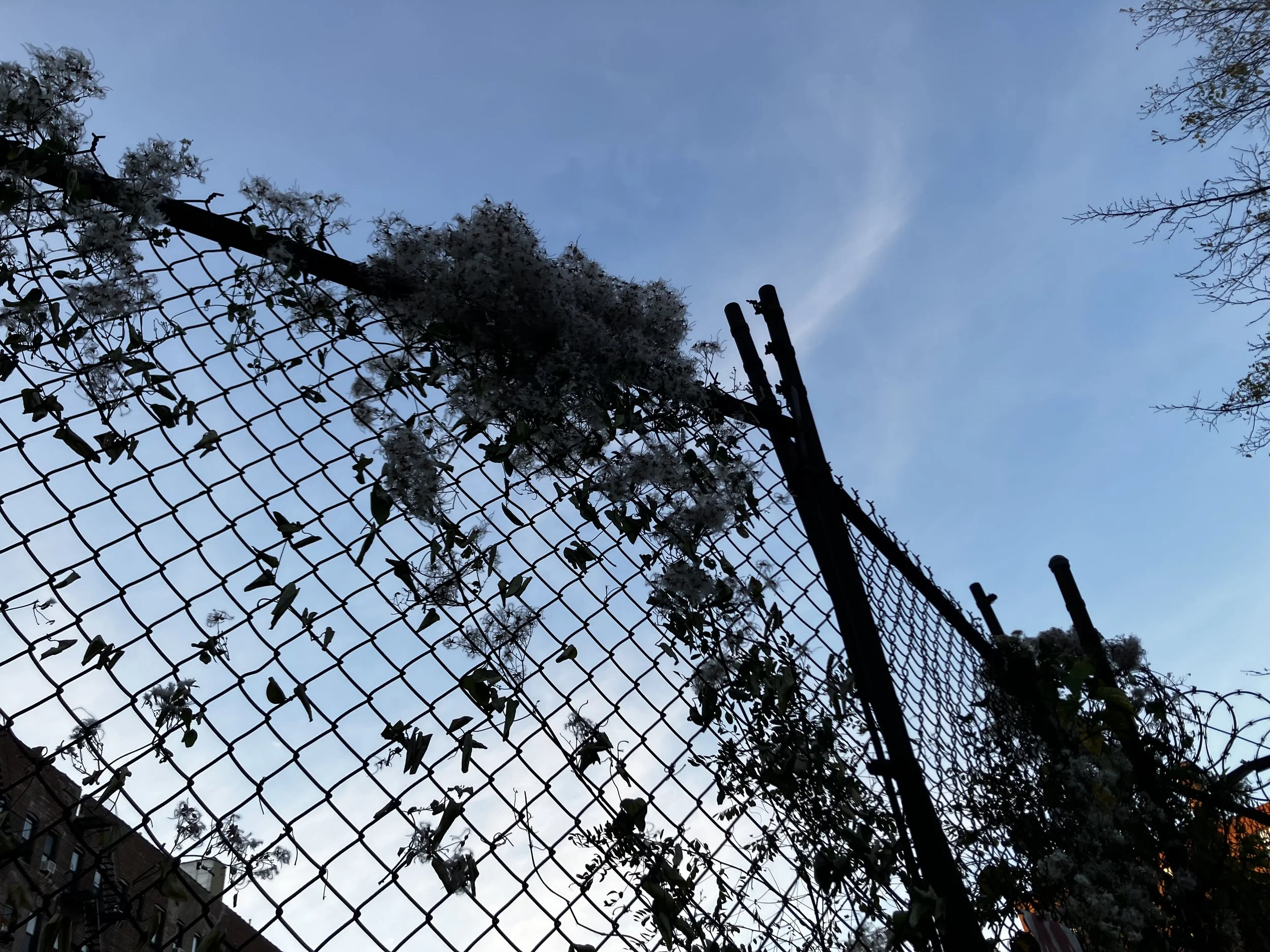 Cloud Of Unknowing vs. How Very Dare You