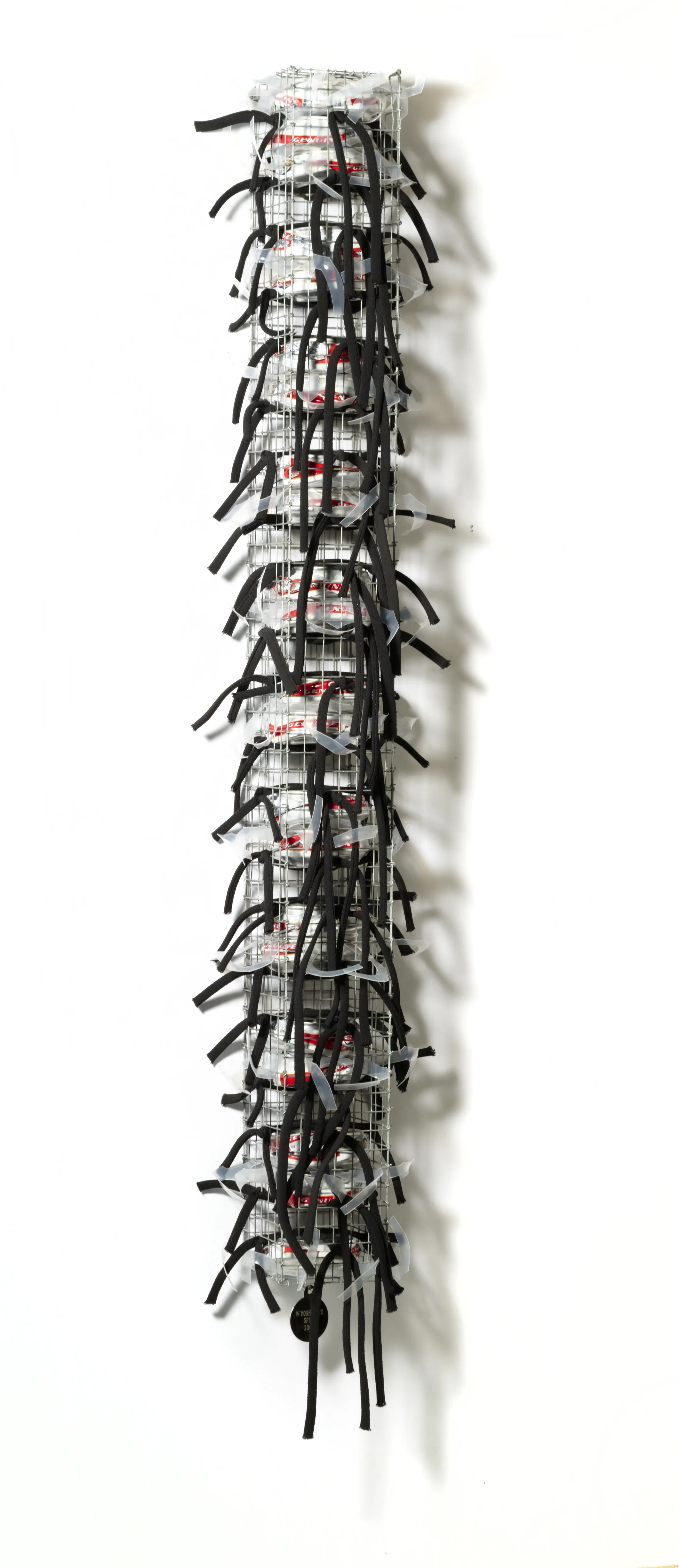 Spine