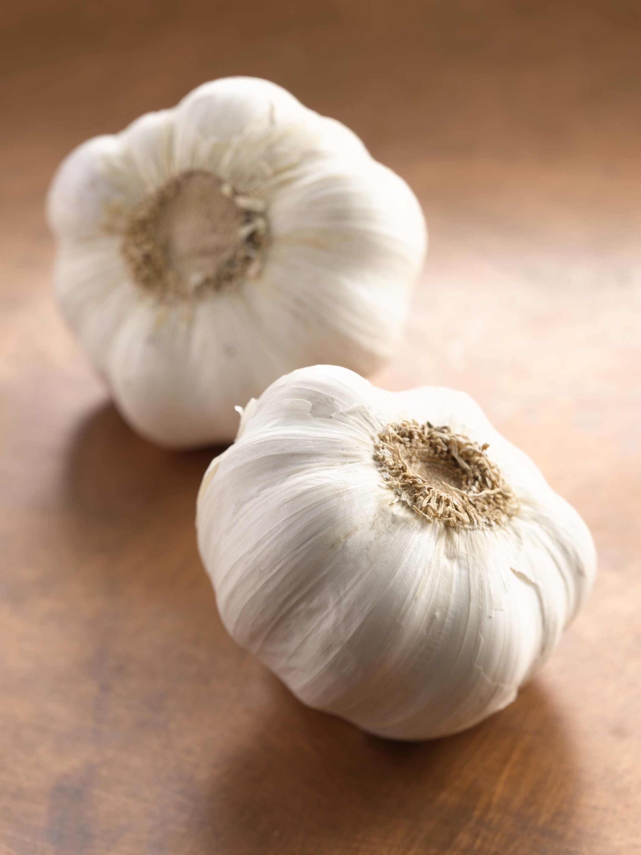 Garlic RT.jpg