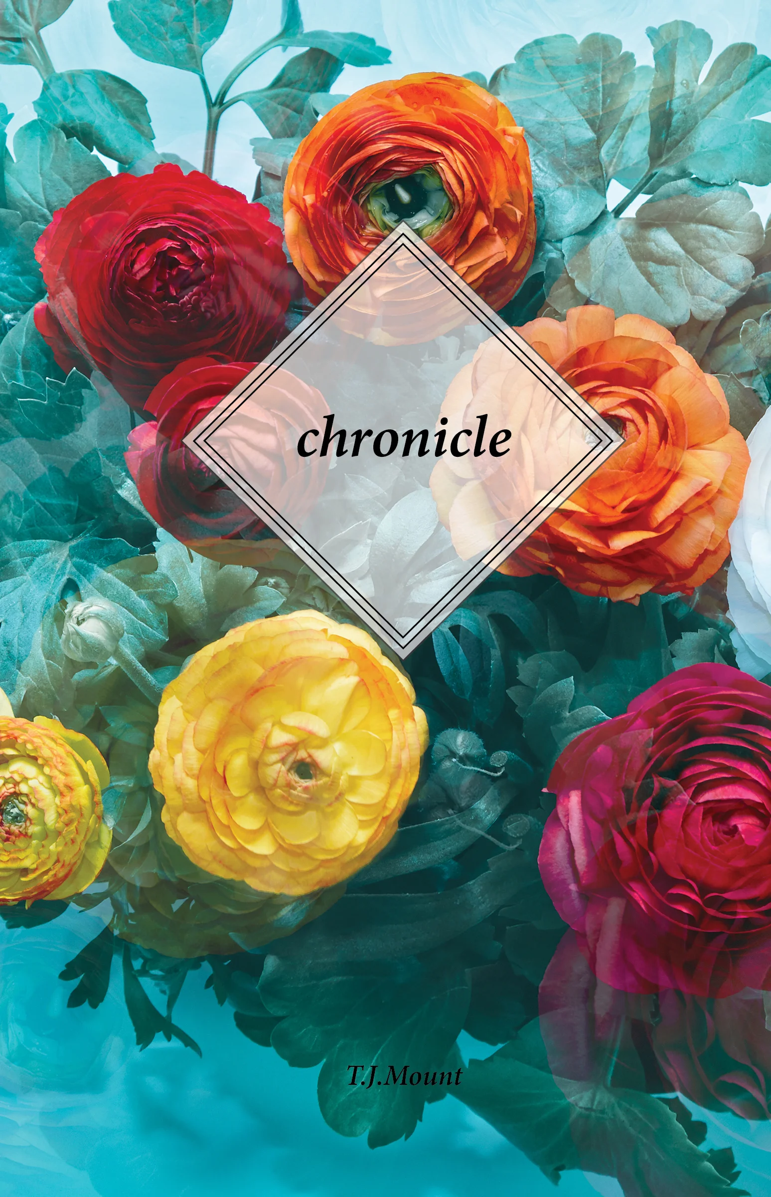 Chronicle Cover_webcrop.jpg