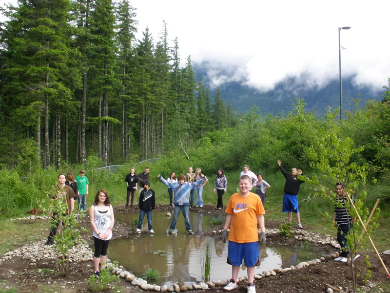 A freshly built frog pond at a middle school in North Bend, WA.