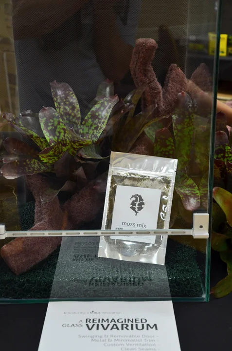 folius moss mix.jpg