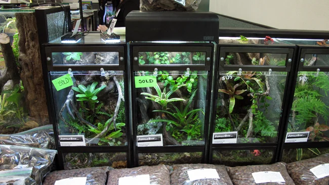 Jungle Box.jpg