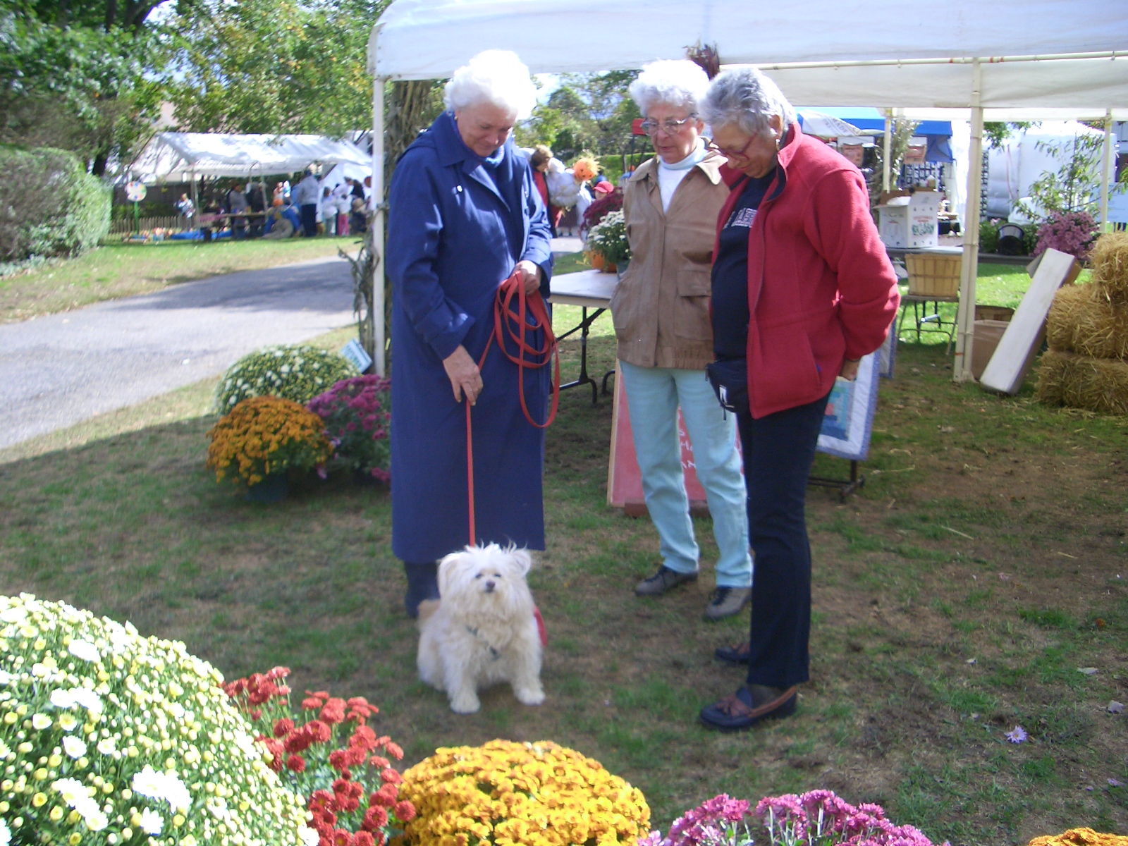 Country Fair