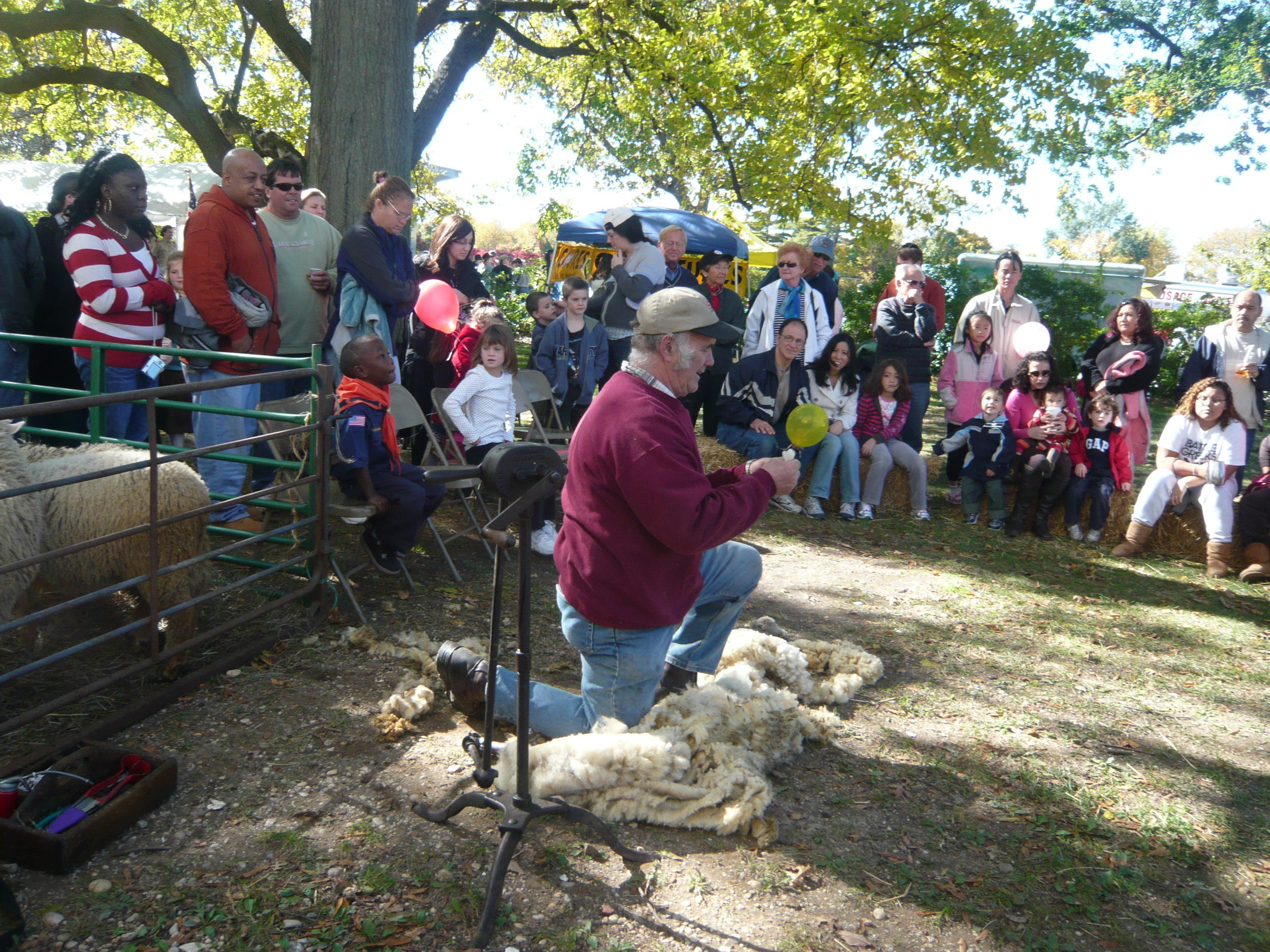 Country Fair