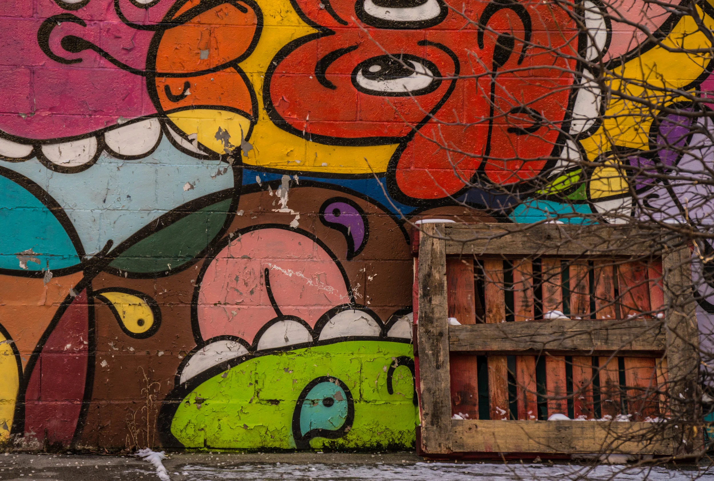 Brooklyn, NY - Winter_2017_B
