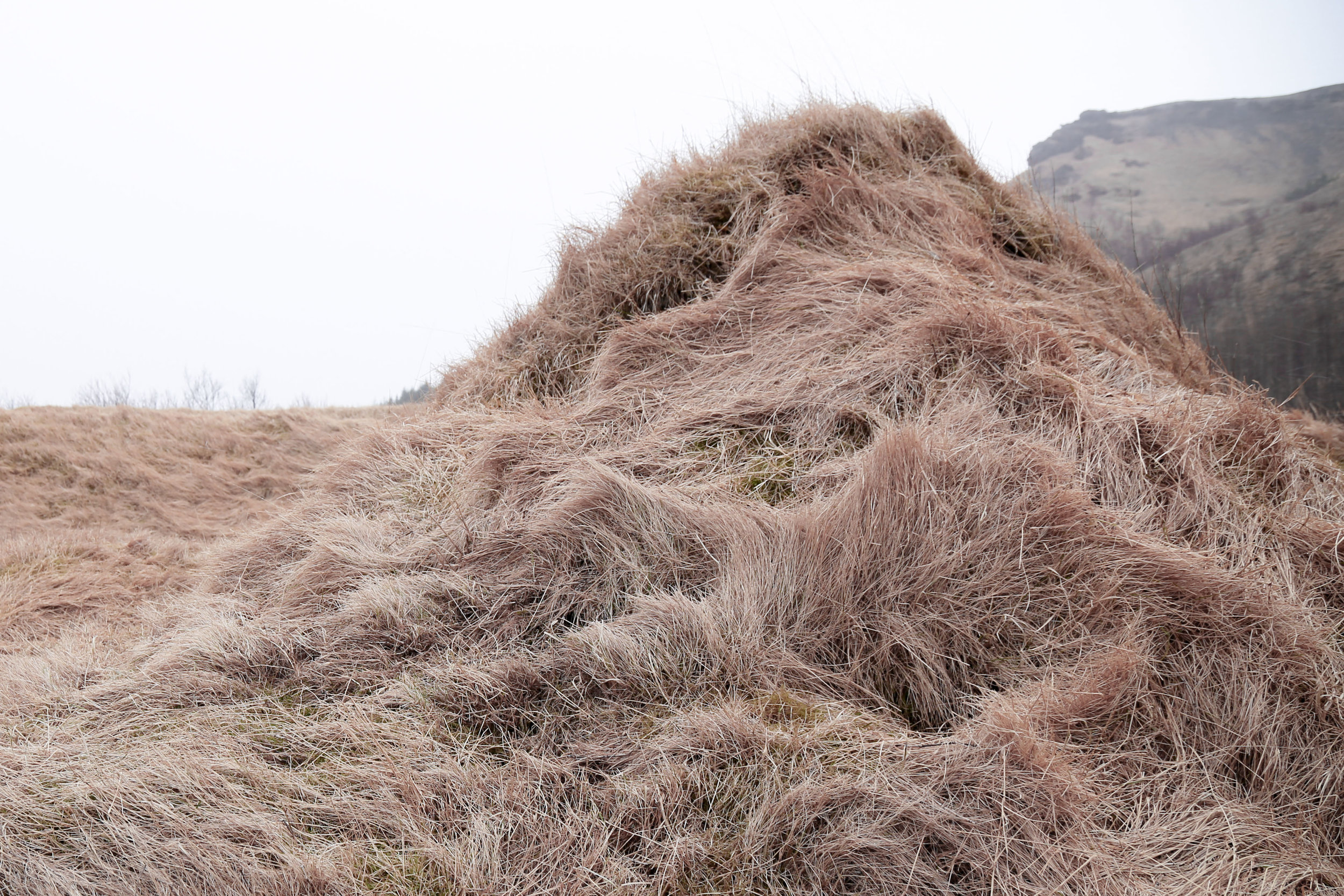 iceland grass house (1 of 10).jpg