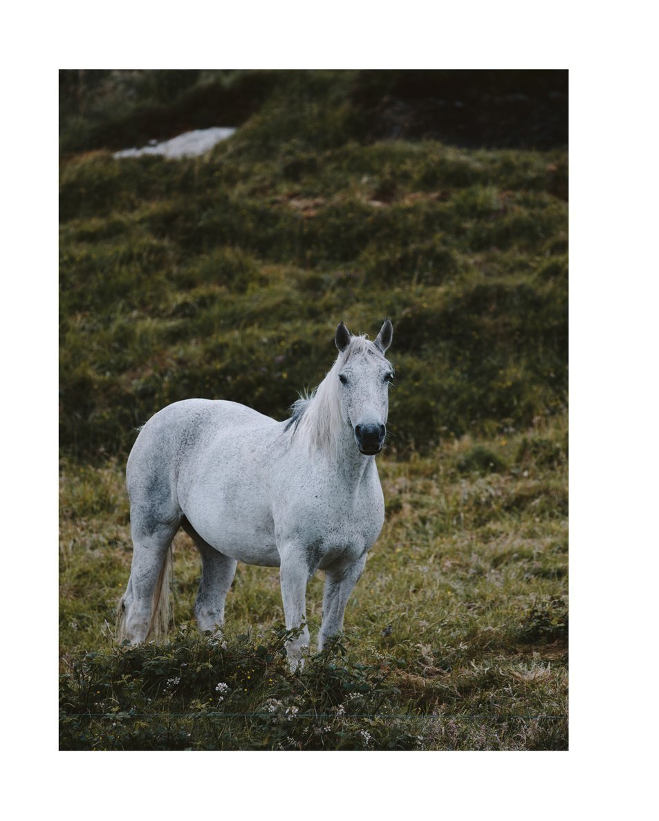 230206_Issue-017-Ireland-Layouts-43.jpg