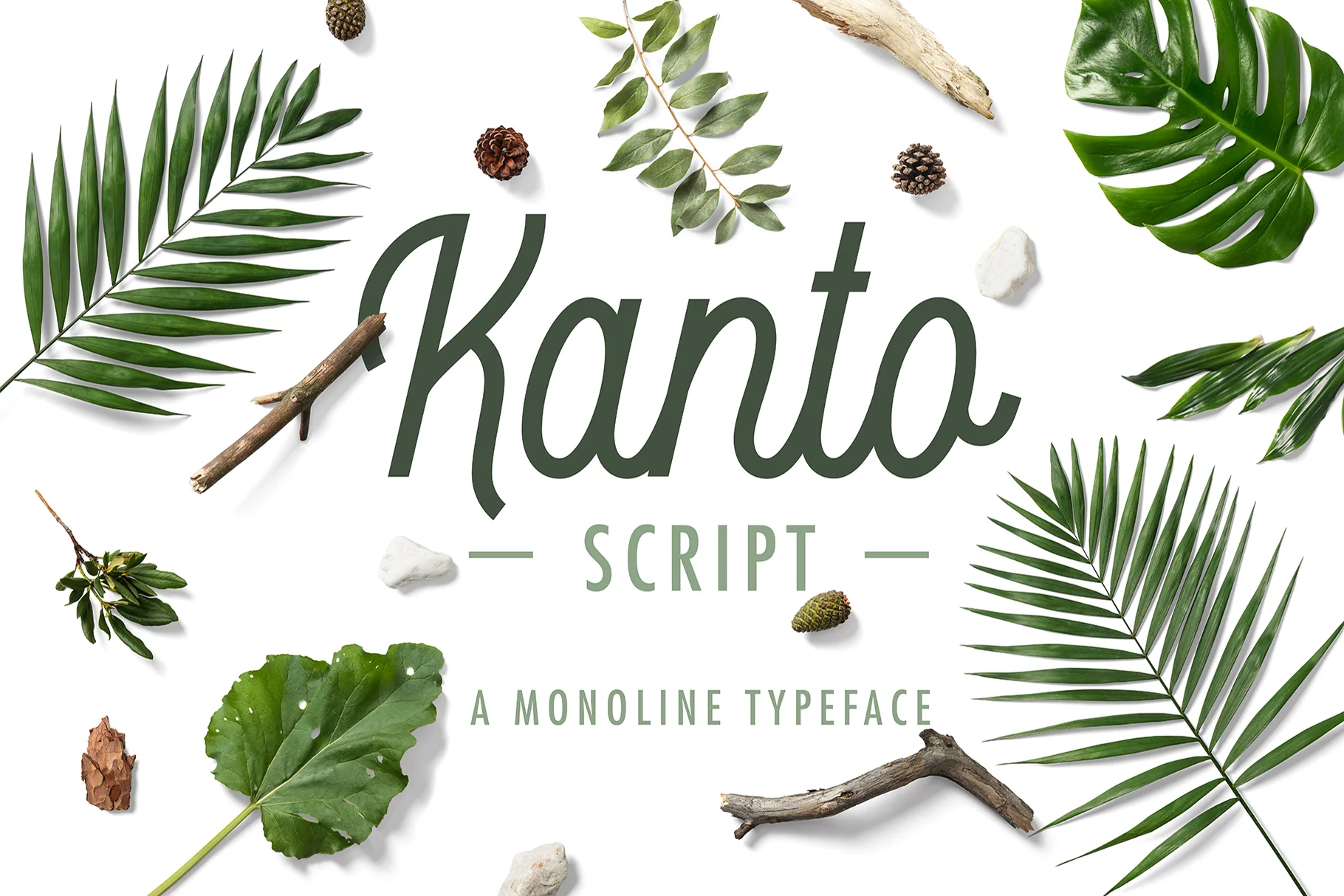 1804_Kanto Script by Nicolas Fredrickson.jpg