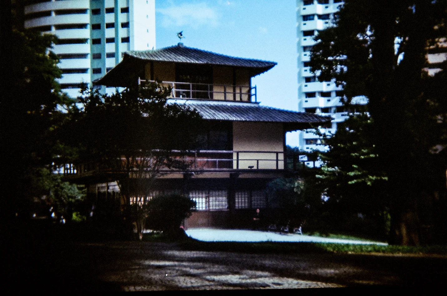 80640023_.jpg
