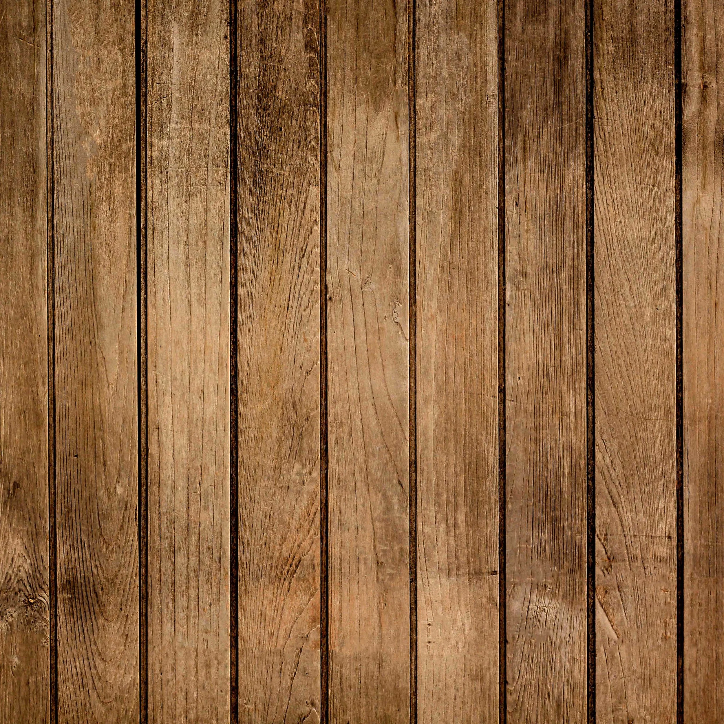 SnapSeat Photo Booths— Backdrops