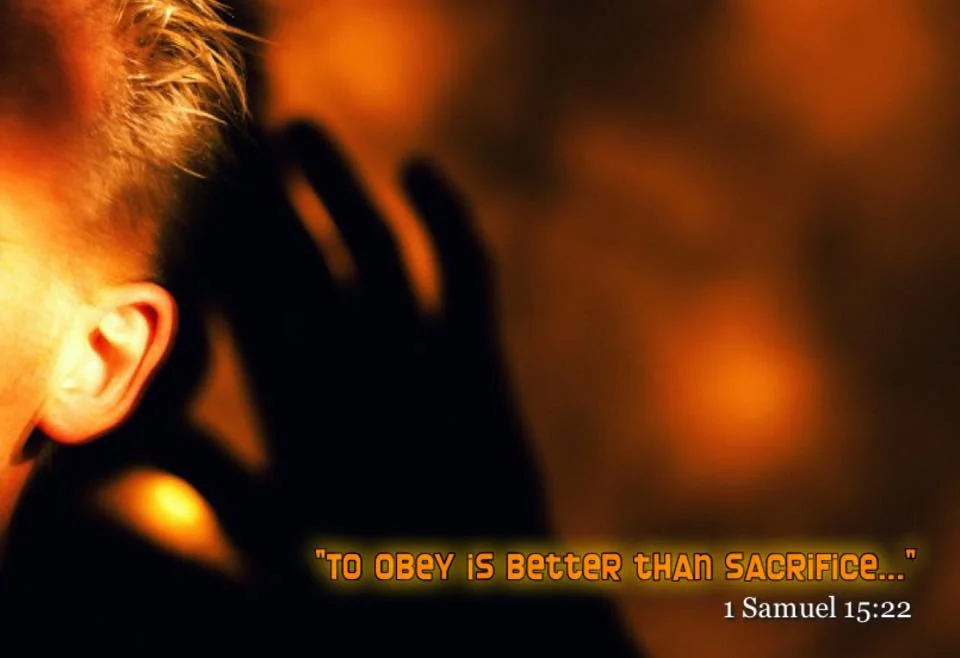 Don't be a successful failure..