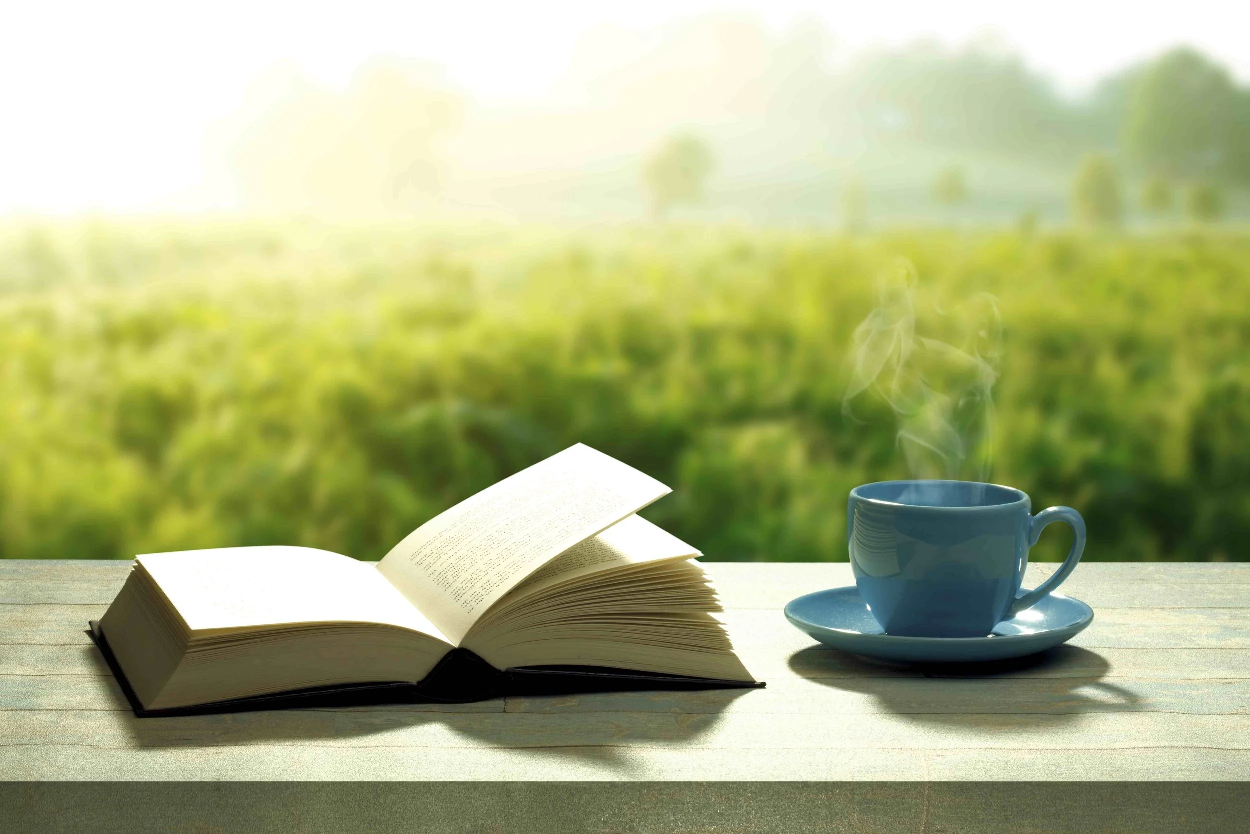 February 18th, 2019: Through The Bible In A Year: Weekn Eight