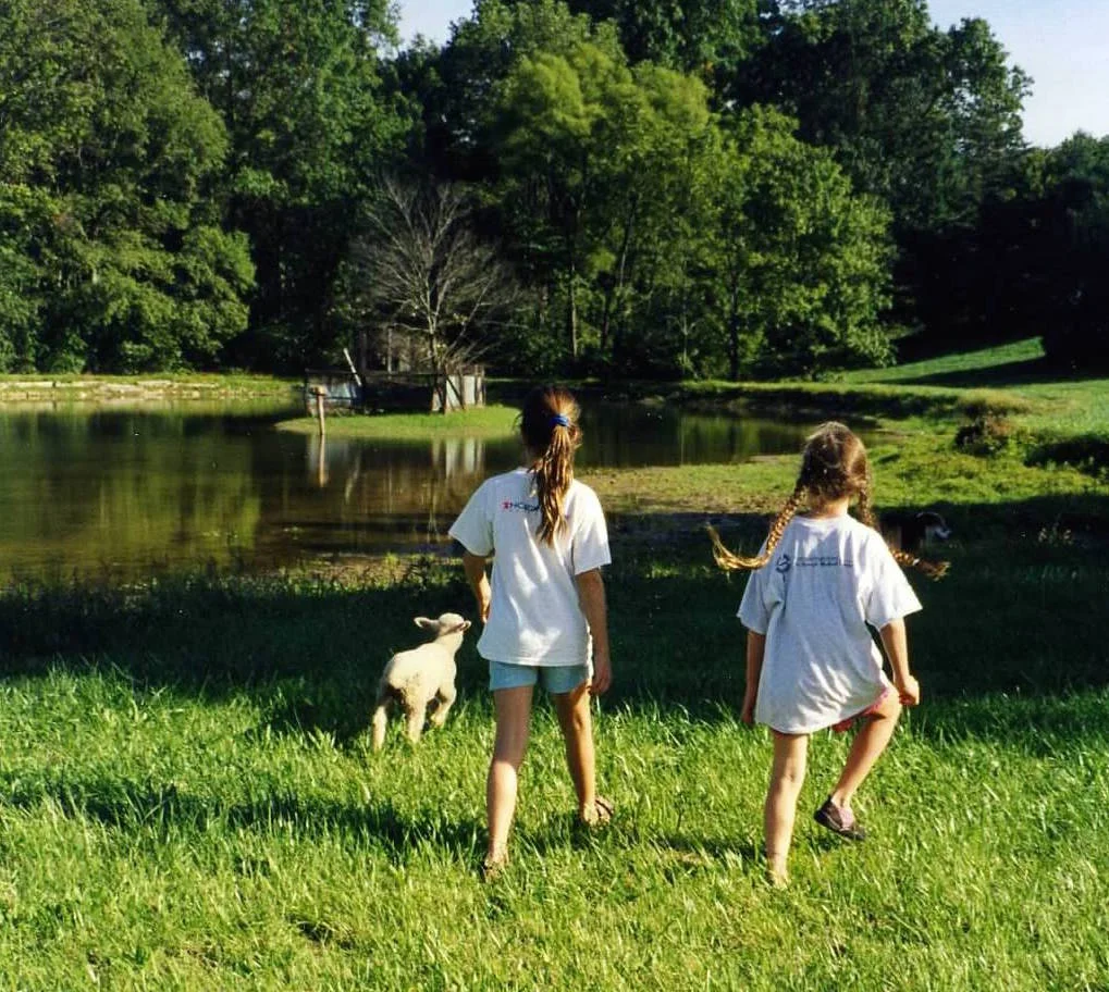 Two marauding, treasure-hunting bandits (and our tiny lamb sidekick)