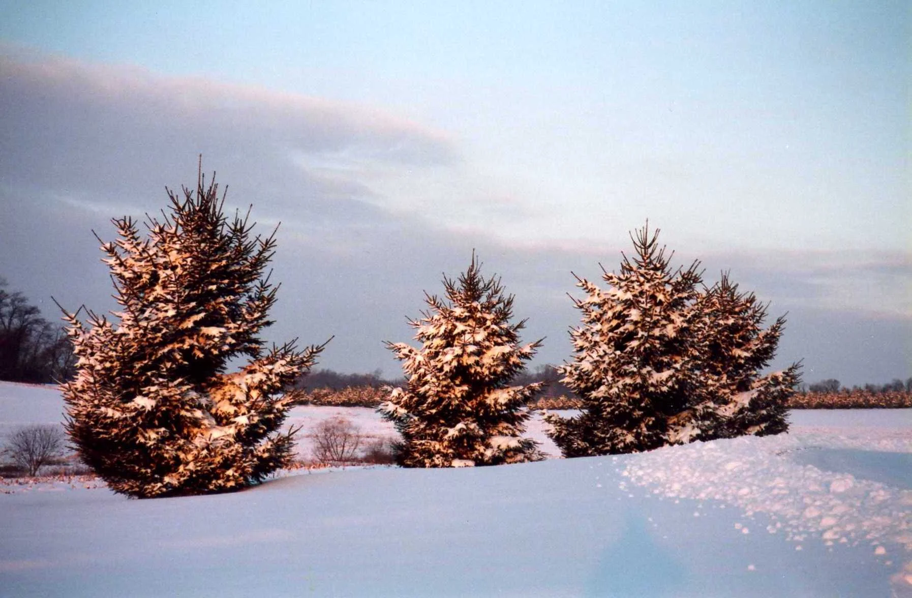 img127.jpg