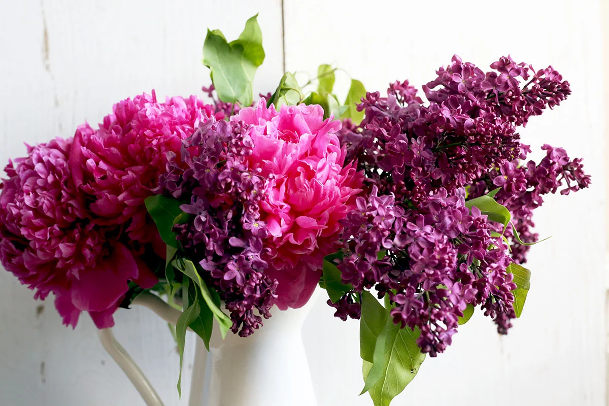 Lilacs and Peonies.jpg