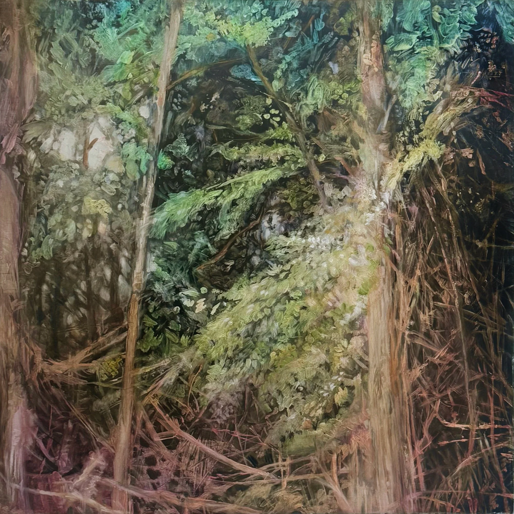 Ort_David_Woods No.2.jpg