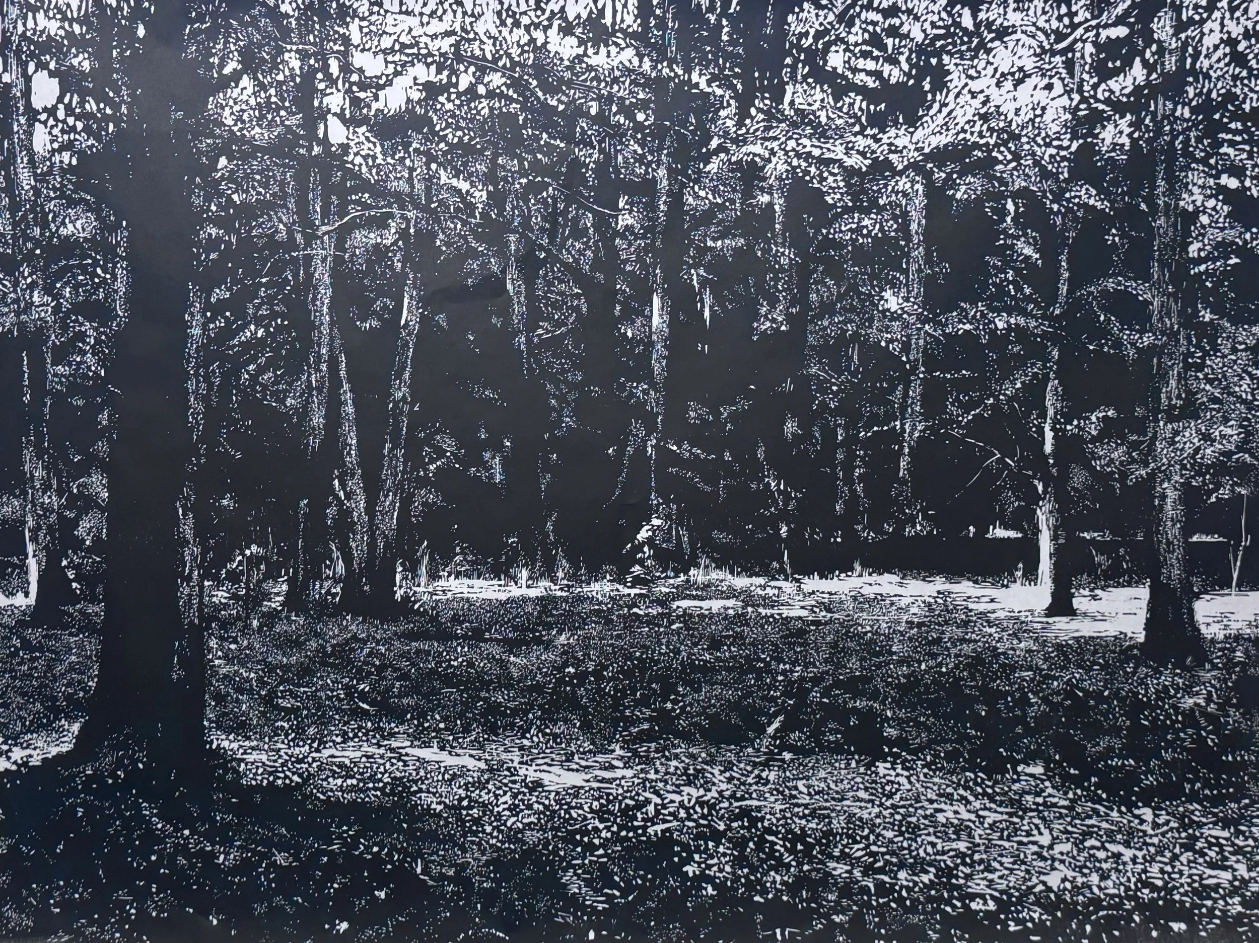 5_Ort_David_Woods No.3.jpg
