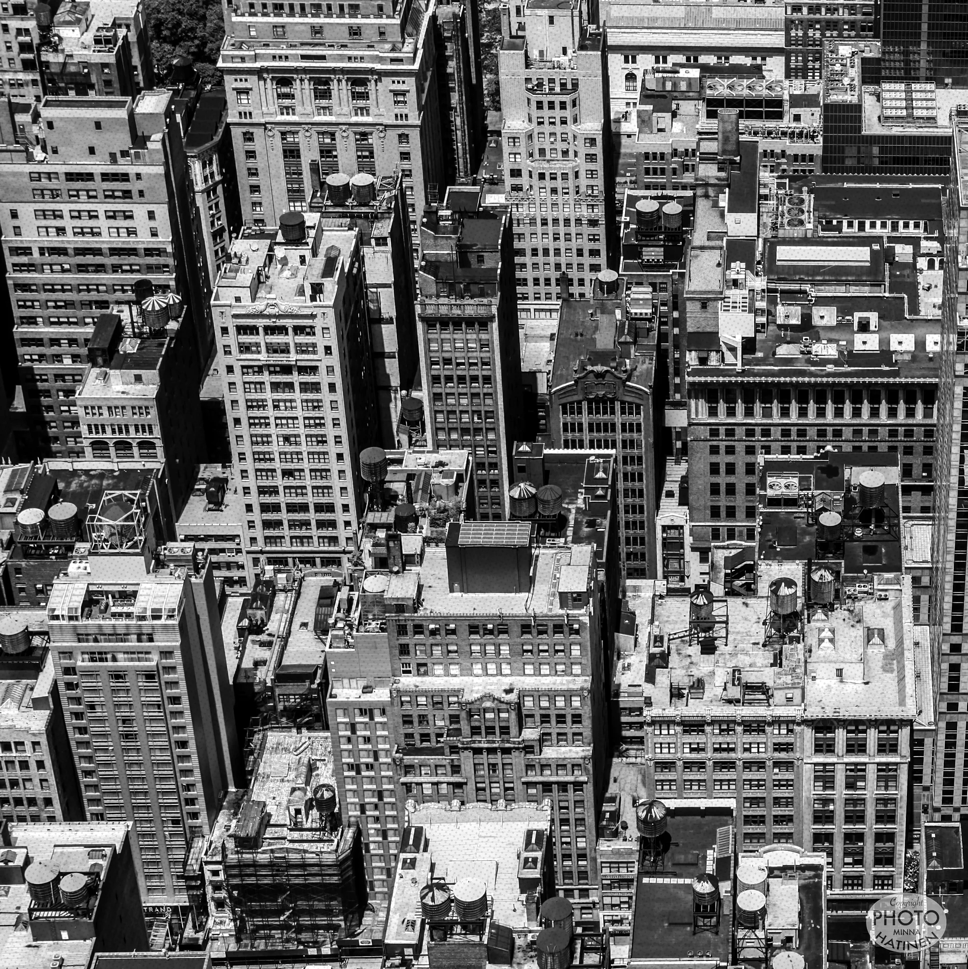 newyork9 CR.jpg