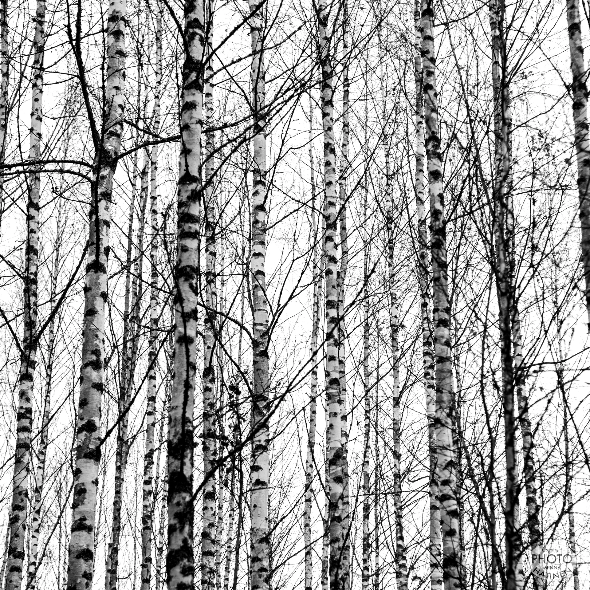 _O6Q6957 2 BW CR.jpg