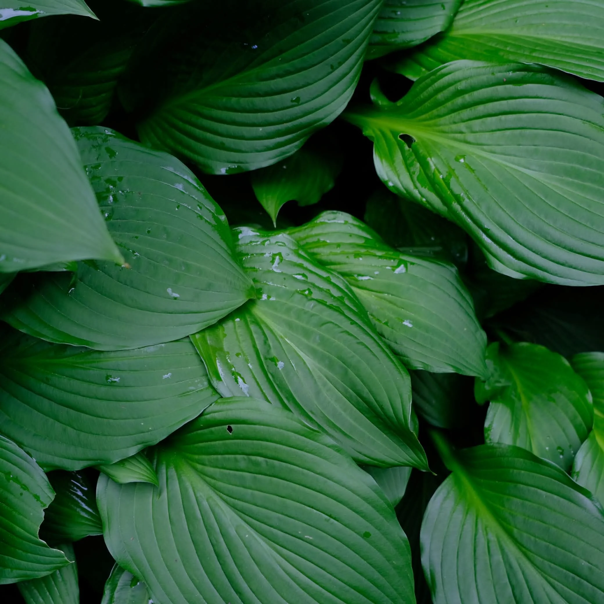 DSCF2351.JPG