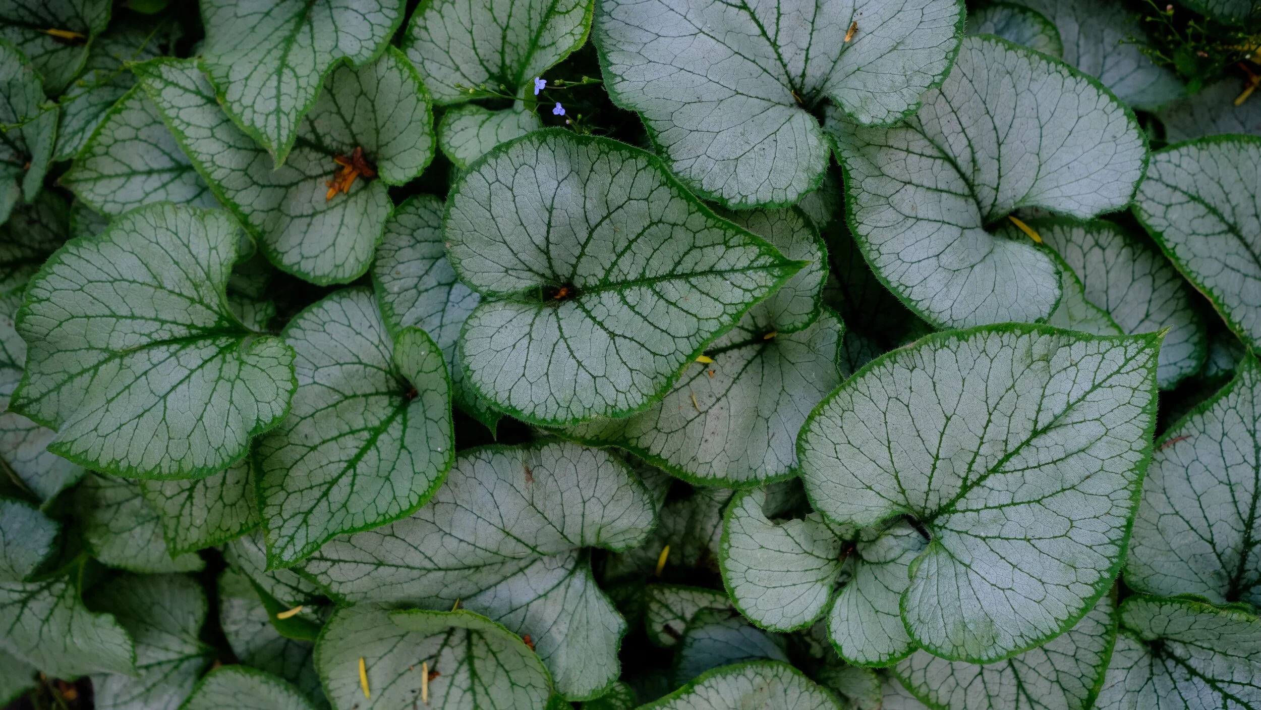 DSCF2360.JPG