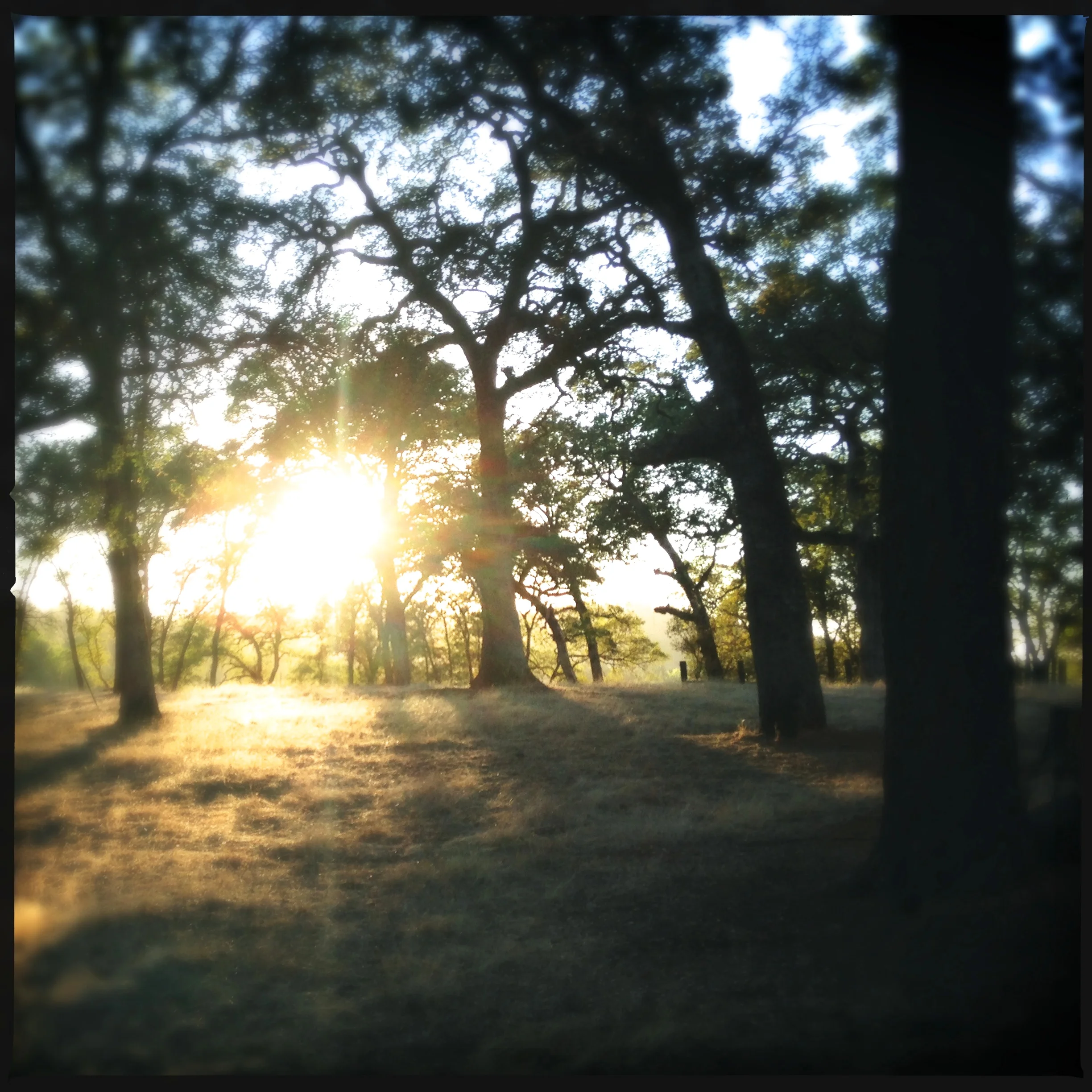  This photo was taken on Brandy's family ranch located in the Sierra Nevada Foothills, in continuous operation since 1907.