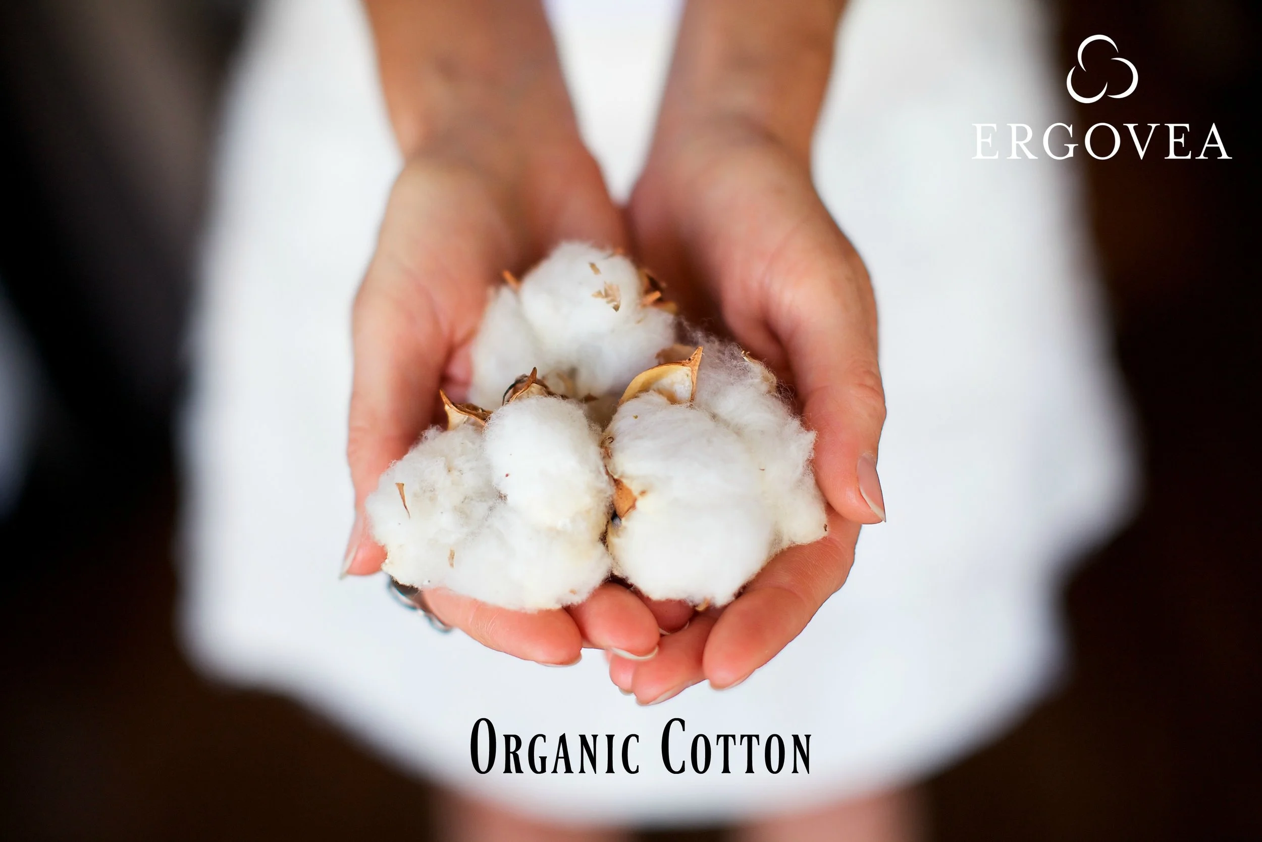 Ergovea_ cotton in hand.jpg