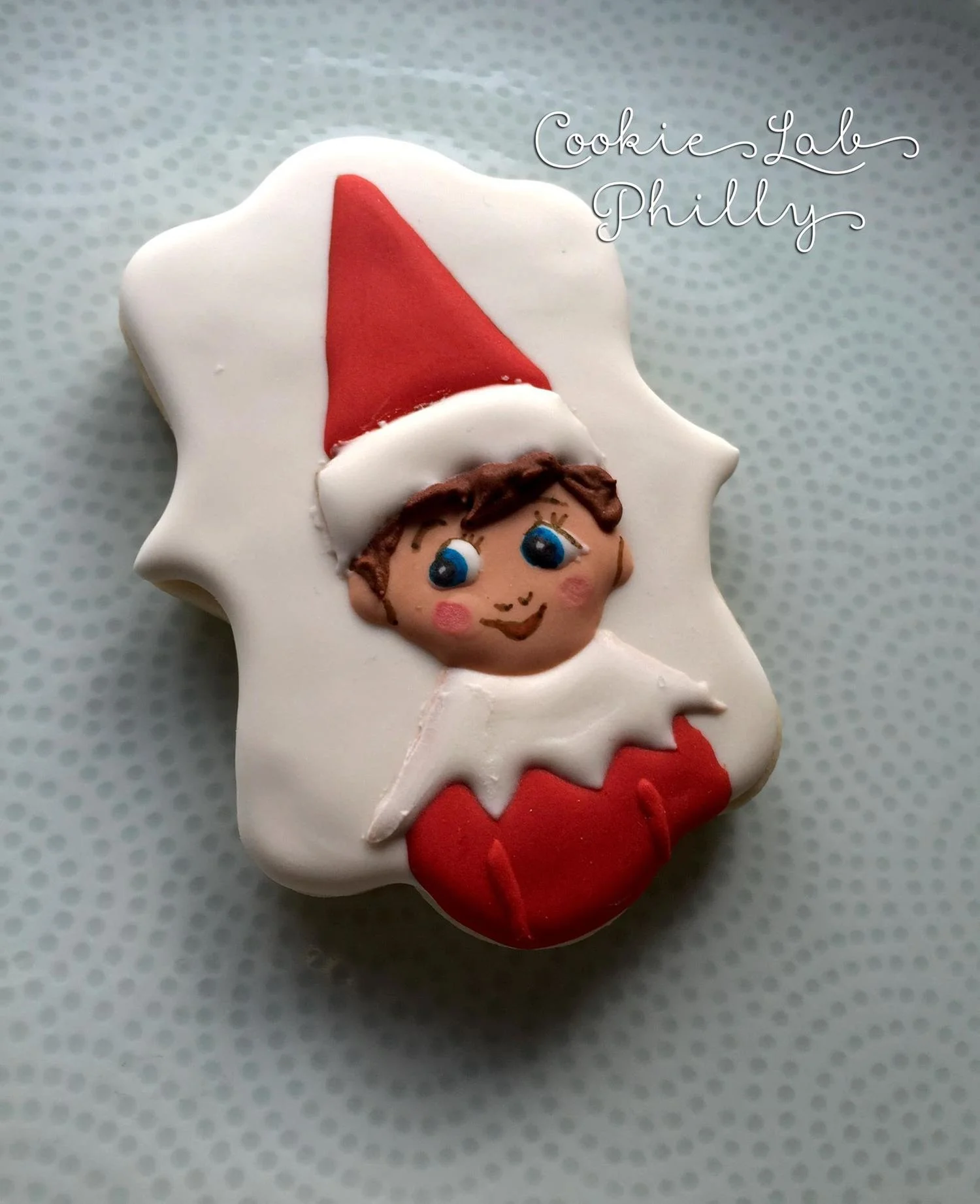 Elf on a shelf cookie