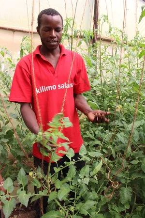 Farmer TIST Project, Kenya