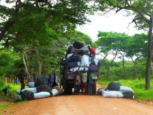 Loading charcoal for transport to Lusaka market.