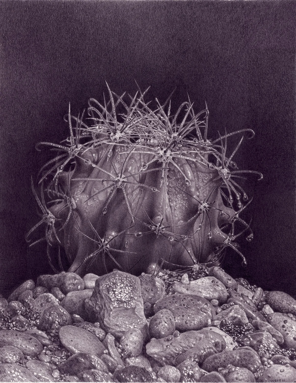 Wet, 2001