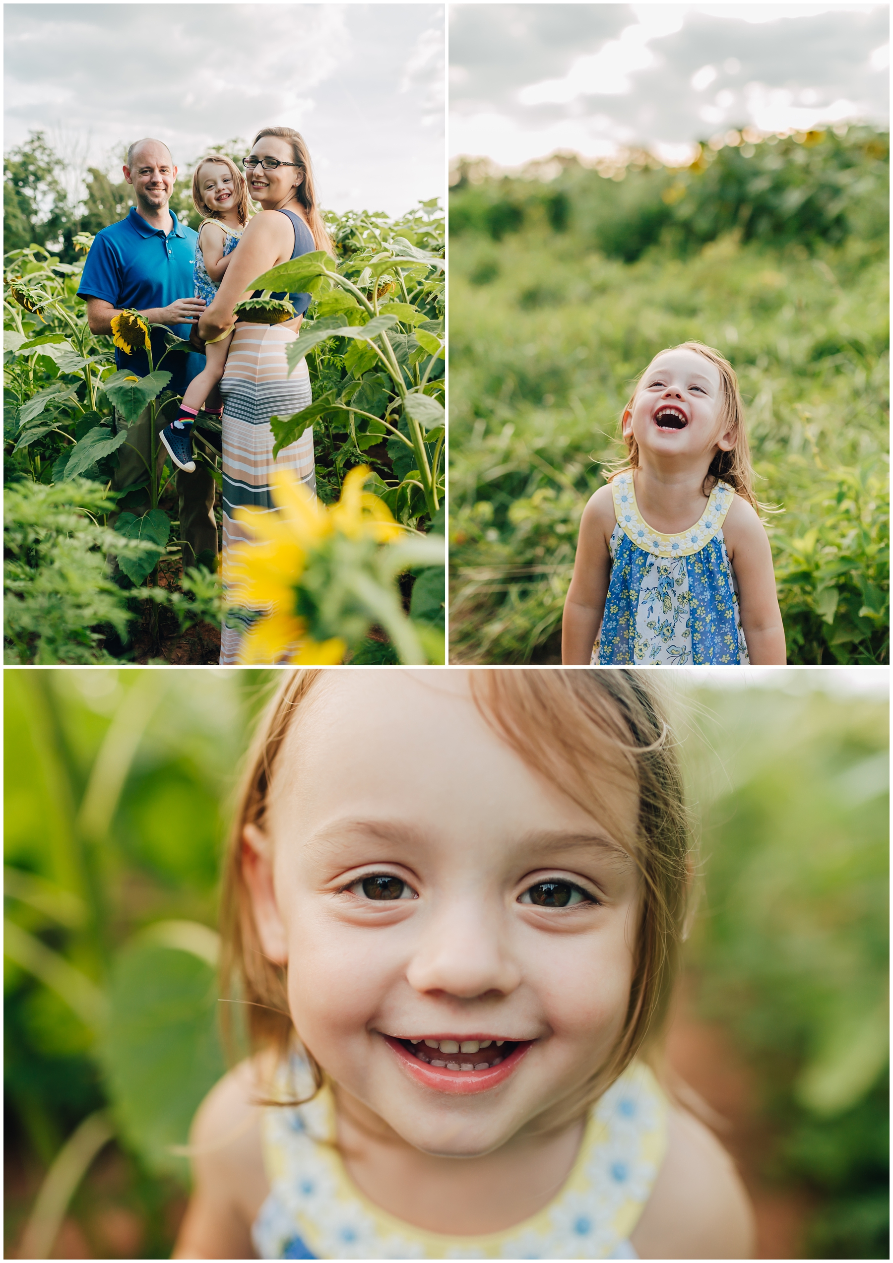 mckee-beshers-sunflowers-family-photography-2.jpg