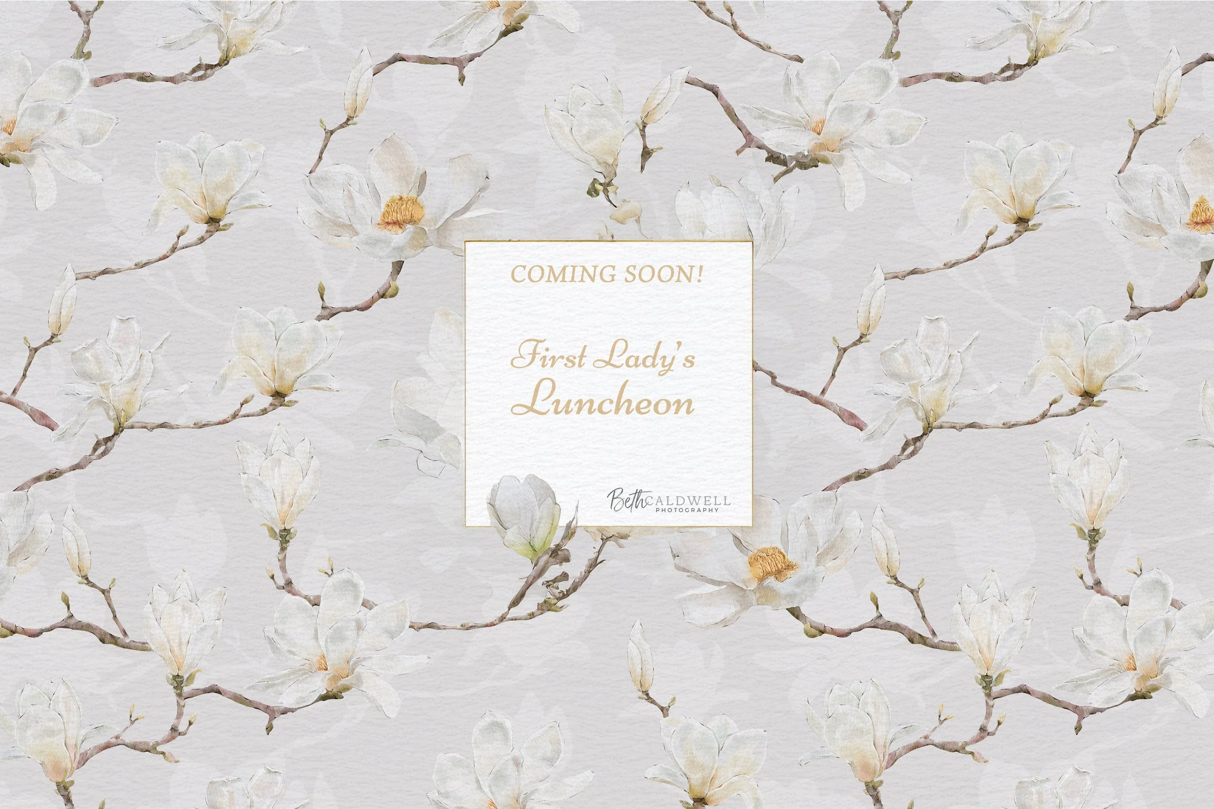 Magnolias-Illustration-Text-3500w copy.jpg