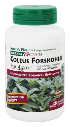Nature's Plus Coleus Forskohlii