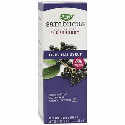 Nature's Way Organic Sambucus Elderberry Syrup 4 oz