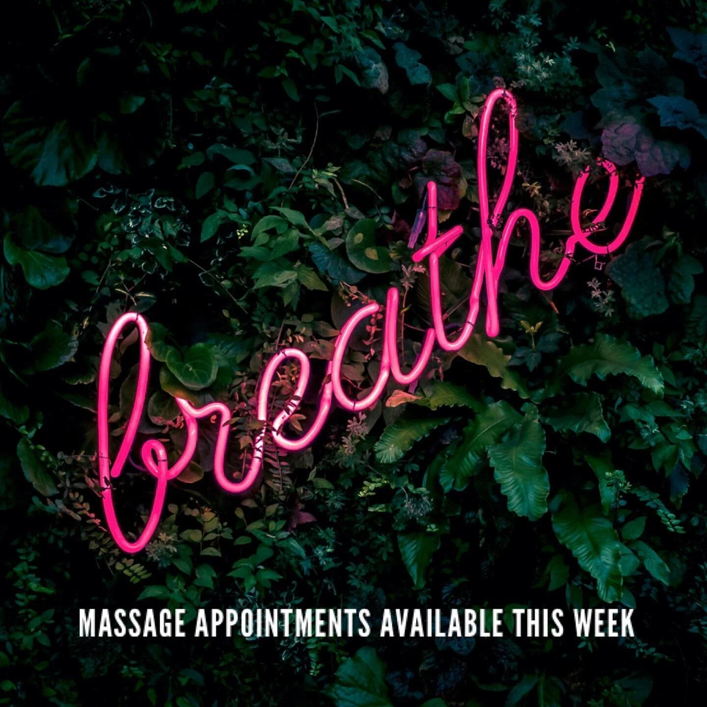 RMT Status back in check! A few Appointments still available this week!
Call or text 2508149925 to book.