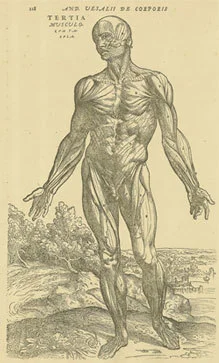 figure2.jpg