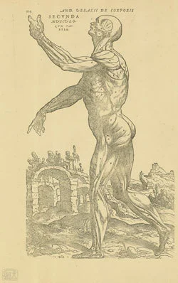 figure1.jpg