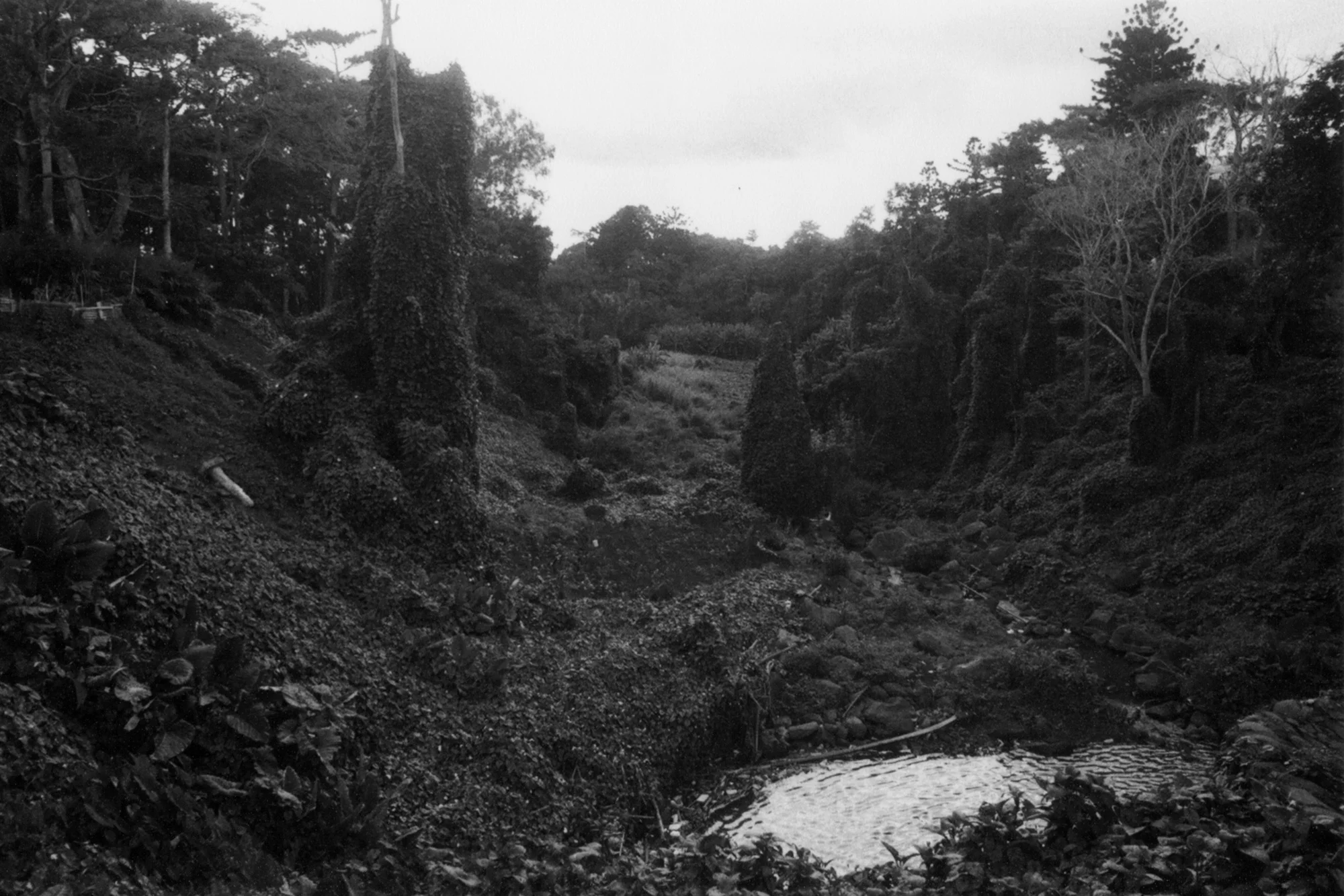 photo2.jpg