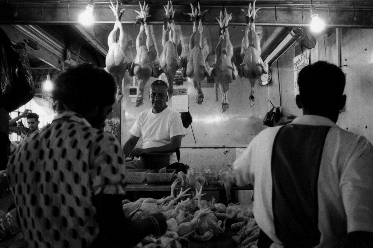 Maurice - Poultry Market.jpg
