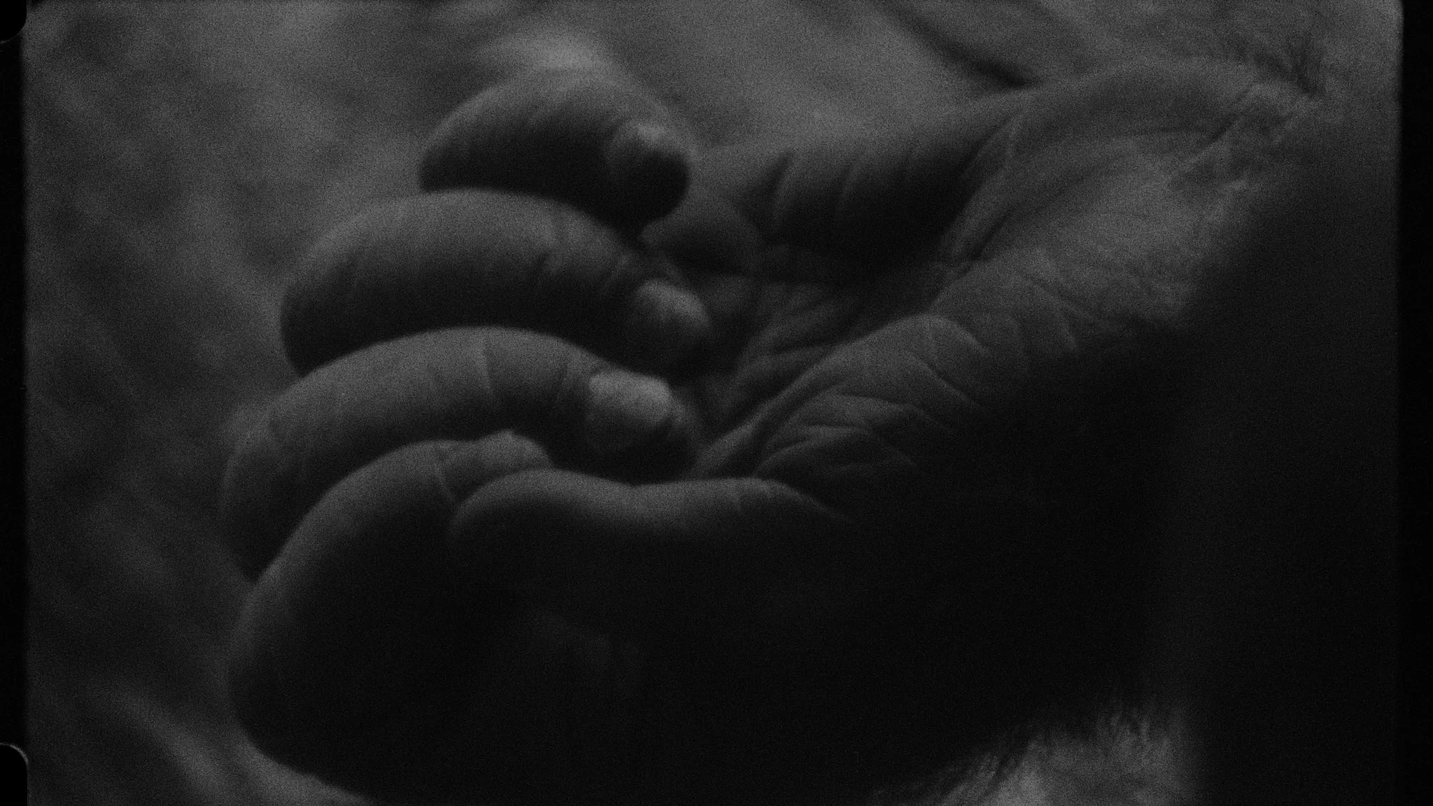 024A_02_Still002.jpg