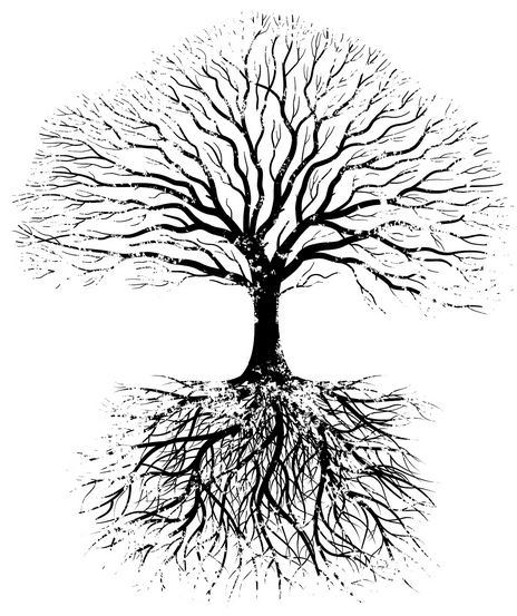 Grow DEEP! - Learn about scripture, God's call for your life, and how to follow Jesus Christ.