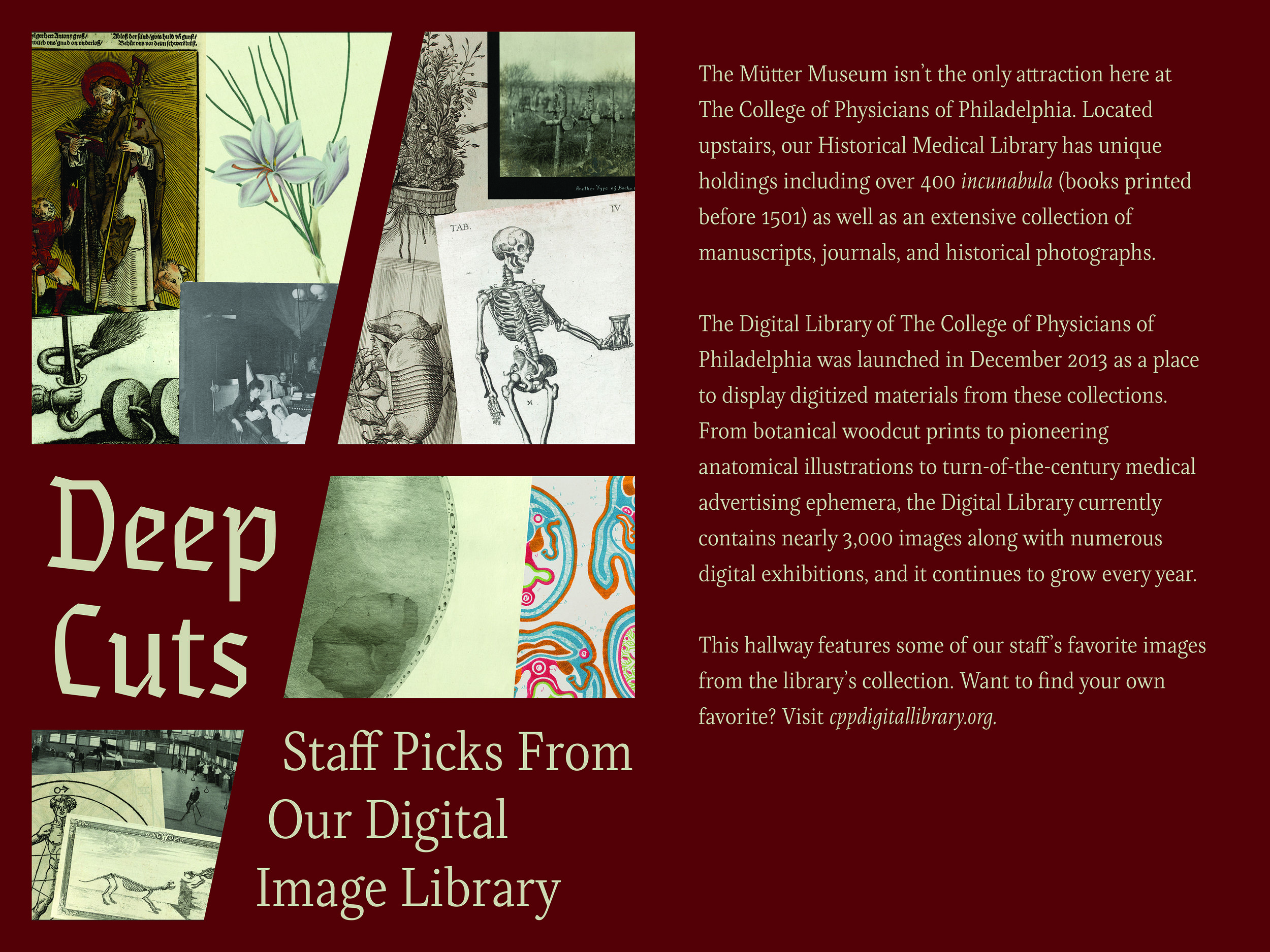  Visual identity and graphic design for  Deep Cuts: Staff Picks From Our Digital Library,  a 2019 exhibition at the Mütter Museum 
