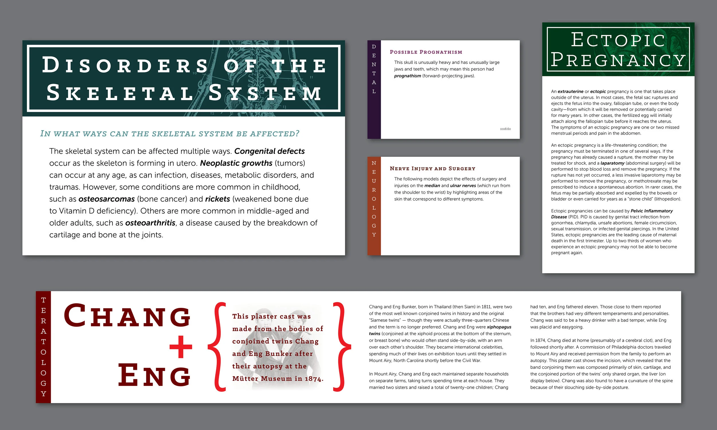  Visual identity, graphic design, layout, prototyping and print production for redesigned permanent gallery panels/object labels at the Mütter Museum 
