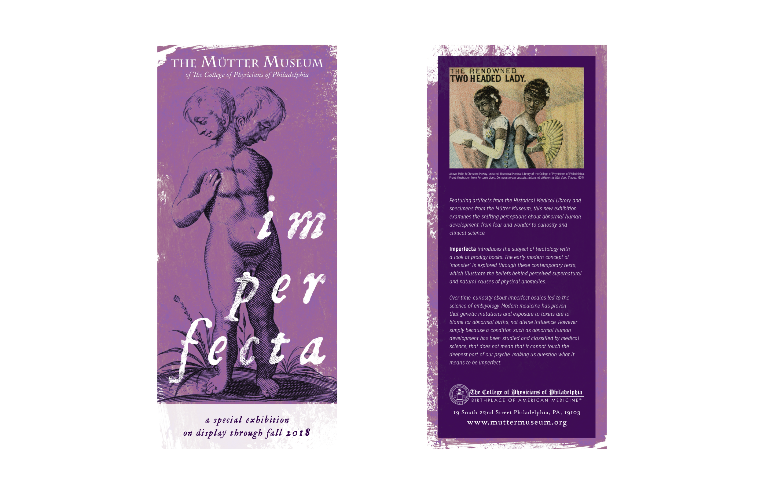 Imperfecta_RackCard_11x17.png