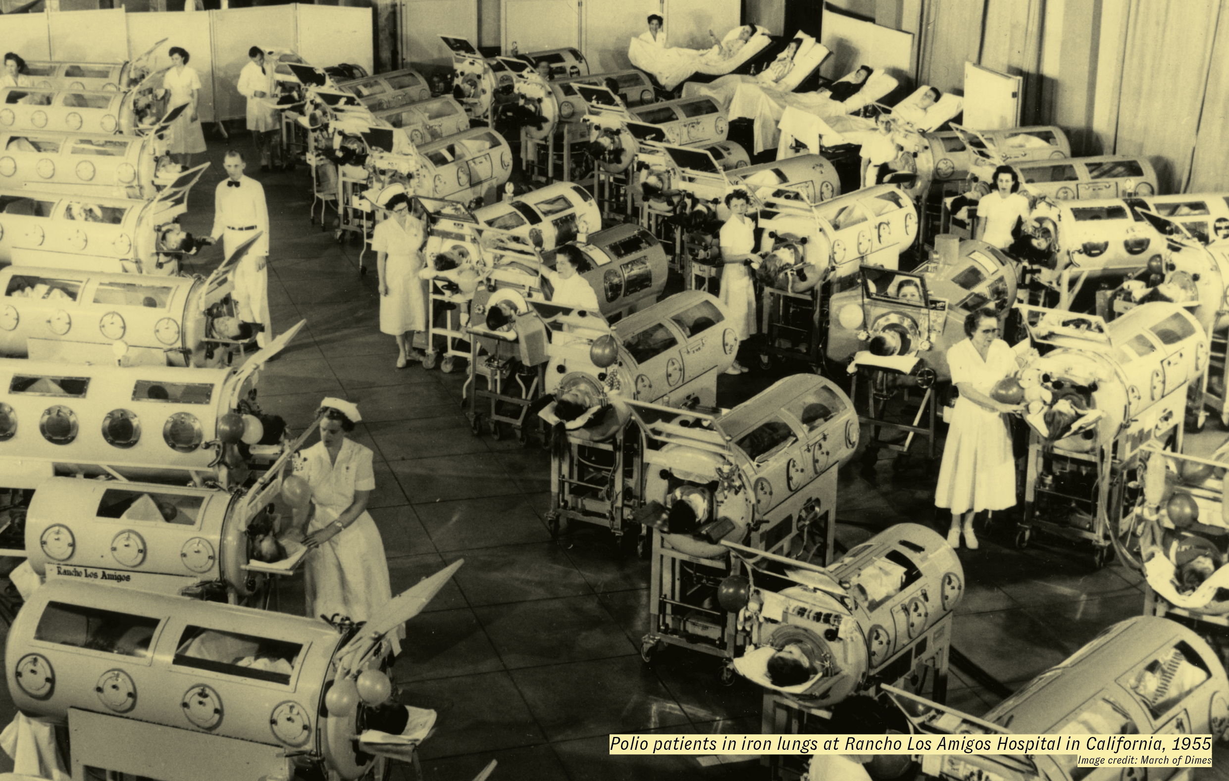 Screen Shot 2021-05-17 at 2.45.13 PM.png